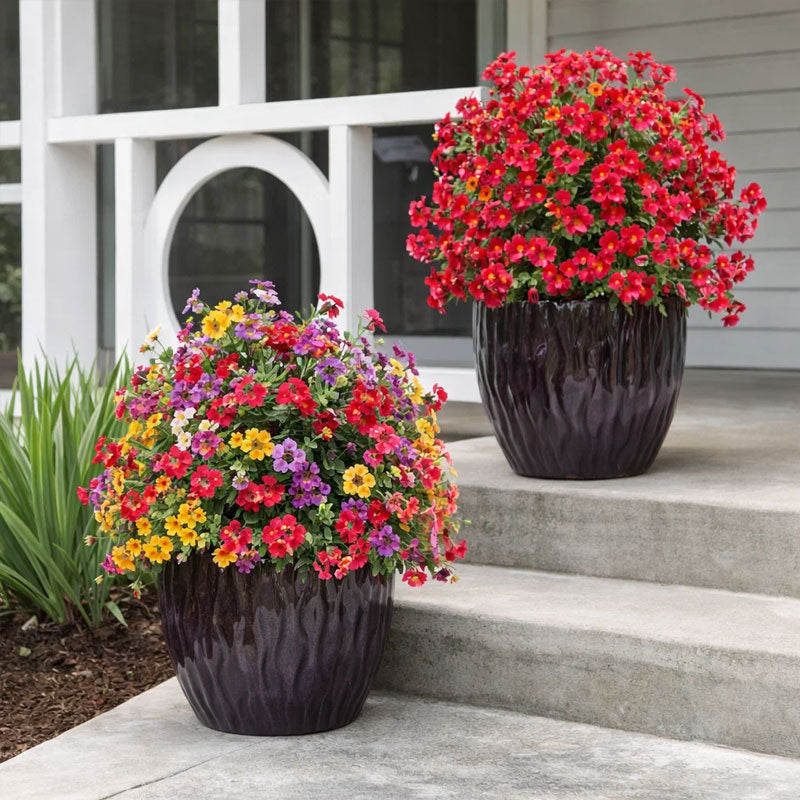 🌿Luo oma salainen puutarhasi hetkessä! 💜✨