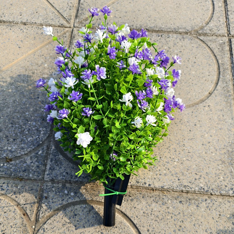 🌿 Tapatko sinäkin kaikki kasvit? Hanki täydellistä, ikivihreää ylellisyyttä, joka KOSKAAN kuihdu!